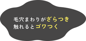 毛穴まわりがざらつき触れるとゴワつく