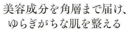 美容成分でうるおいを守りながら、メイクや汚れをやさしく洗い流す