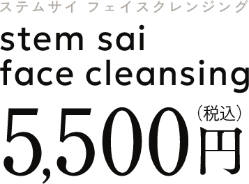 ステムサイ フェイスクレンジング